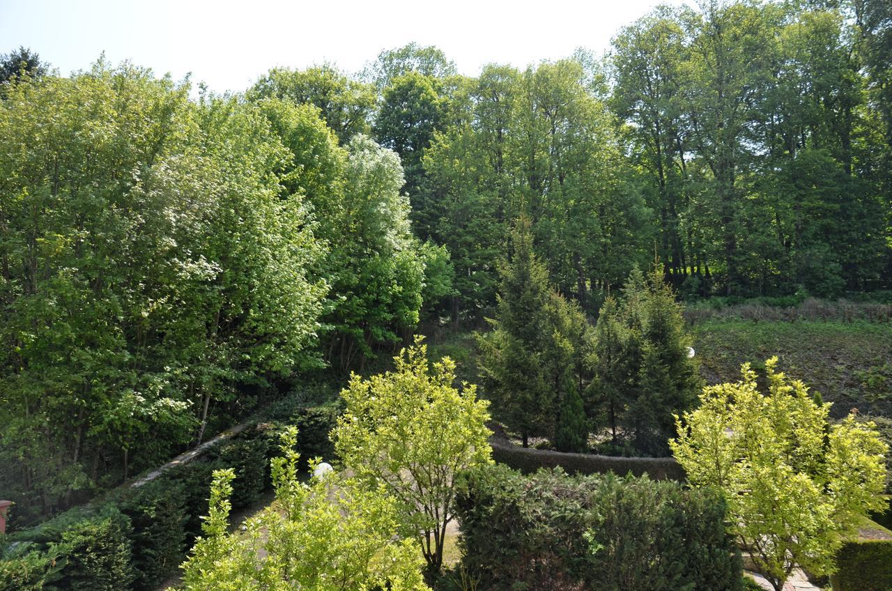 Hotel Et Studios D'Orfeuil Бурбонн-ле-Бен Экстерьер фото